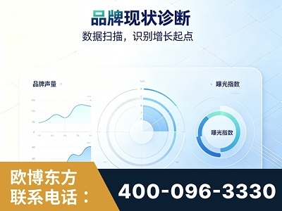 鞍山-品牌现状诊断