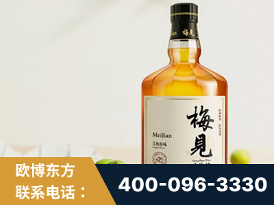 鞍山-梅见青梅酒